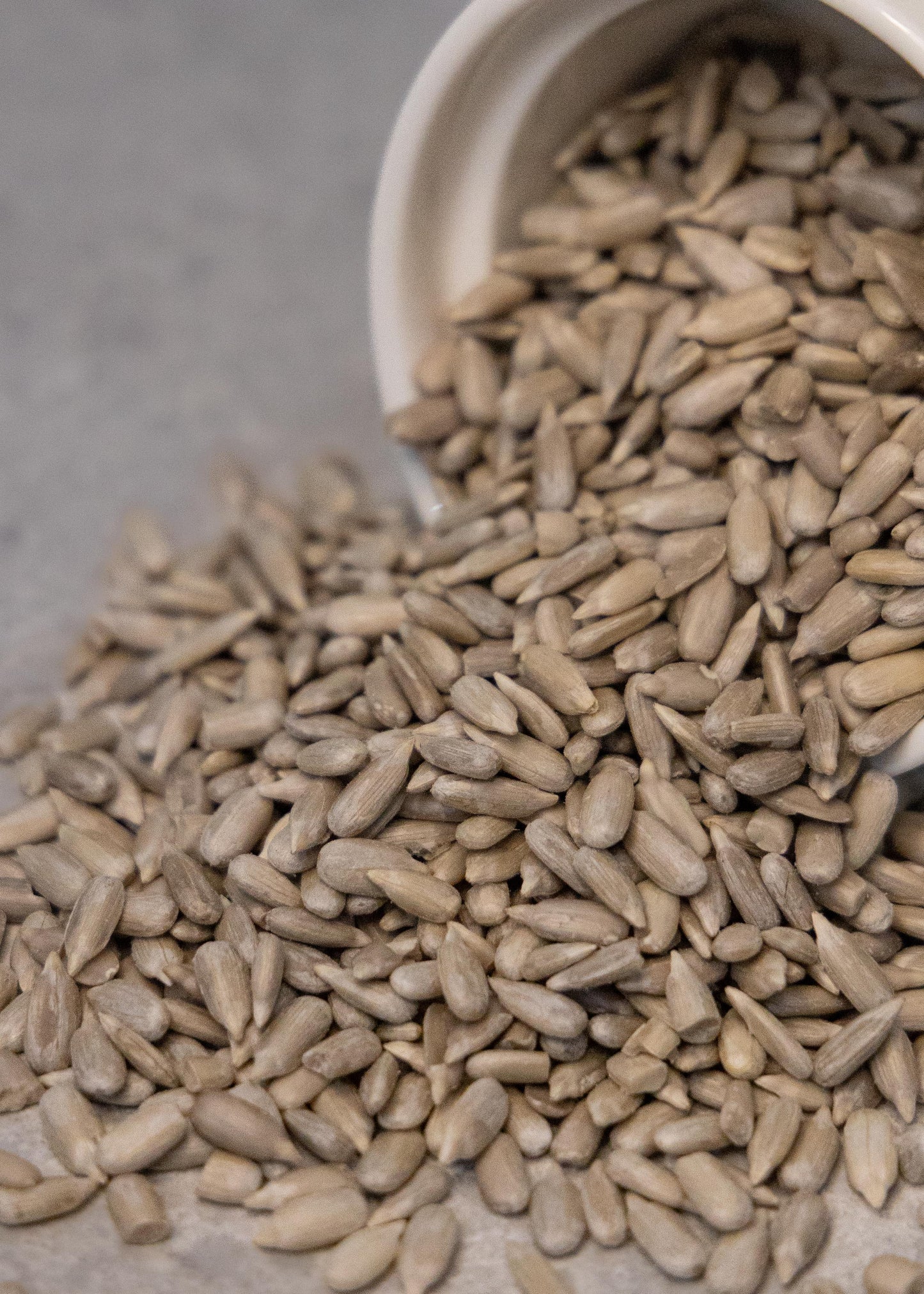 Sunflower Seeds