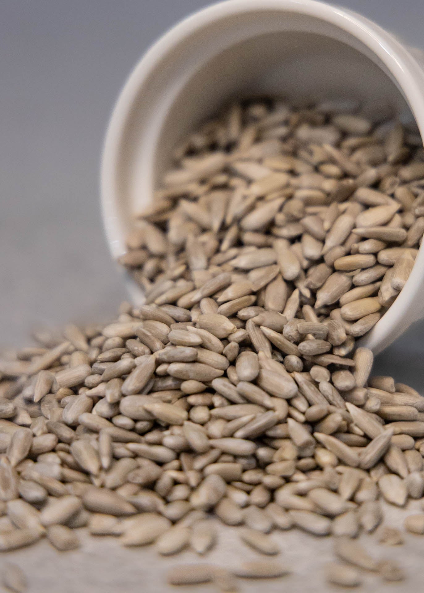 Sunflower Seeds